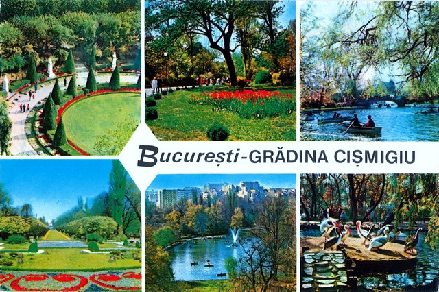 1482-1 - Bucuresti. Gradina Cismigiu